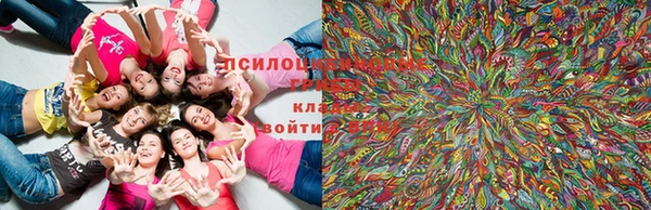 кристаллы Бородино